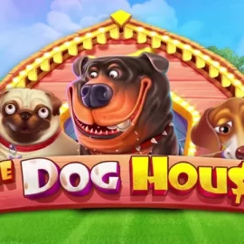 Pengalaman Bermain Slot The Dog House