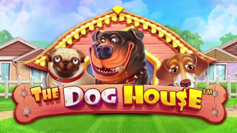Pengalaman Bermain Slot The Dog House